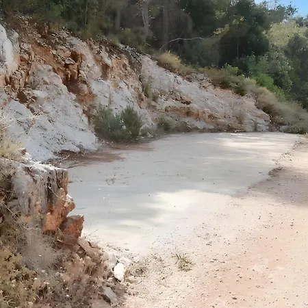 Charming In + Garden